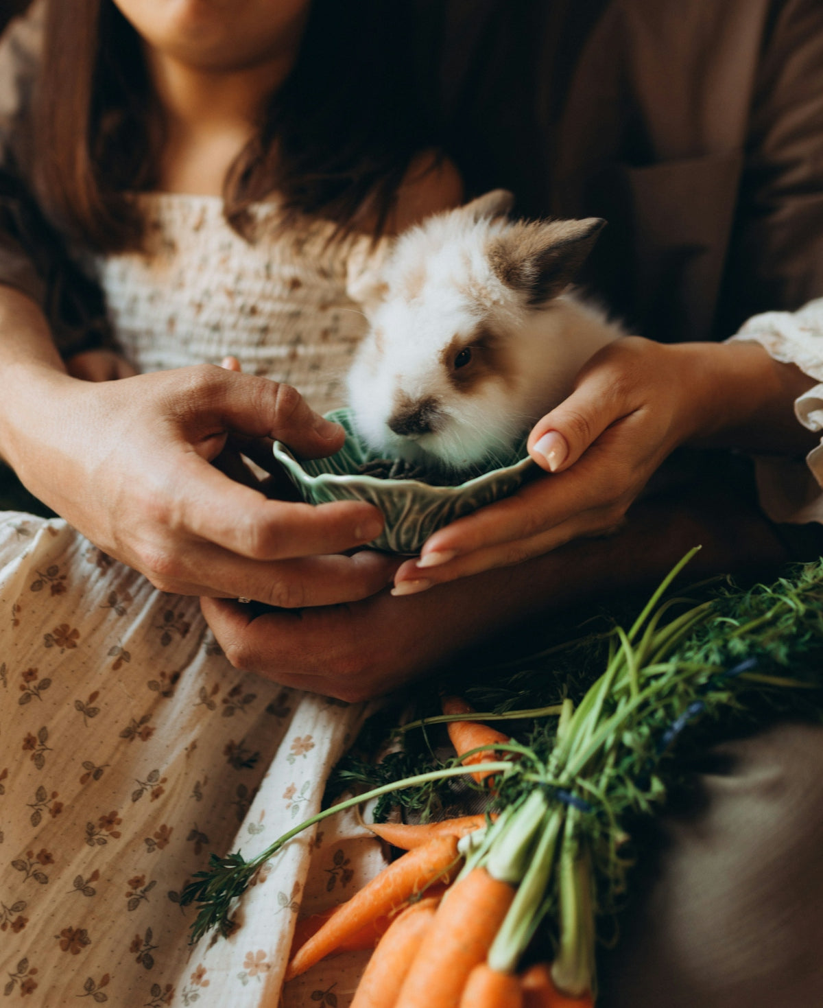 Person holding a small rabbit with carrots nearby