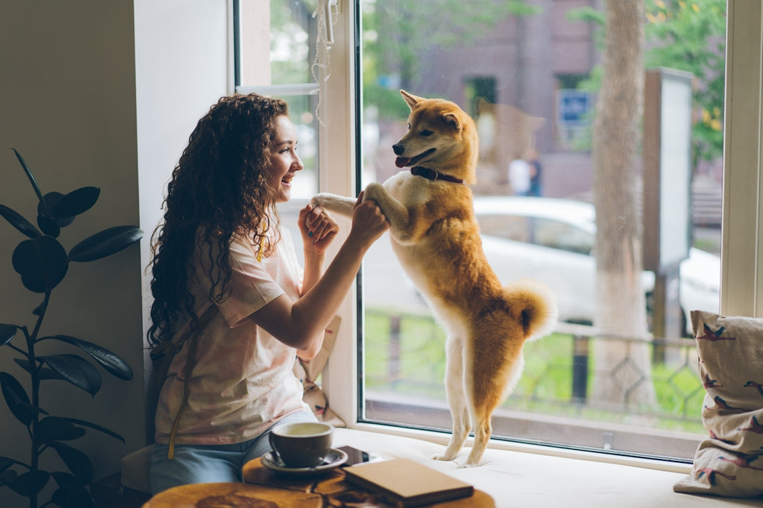 a woman sitting on a window sill petting a dog